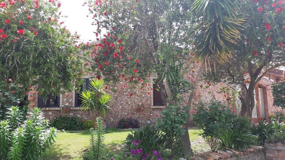Agriturismo Pingitore Luzzi Exteriér fotografie