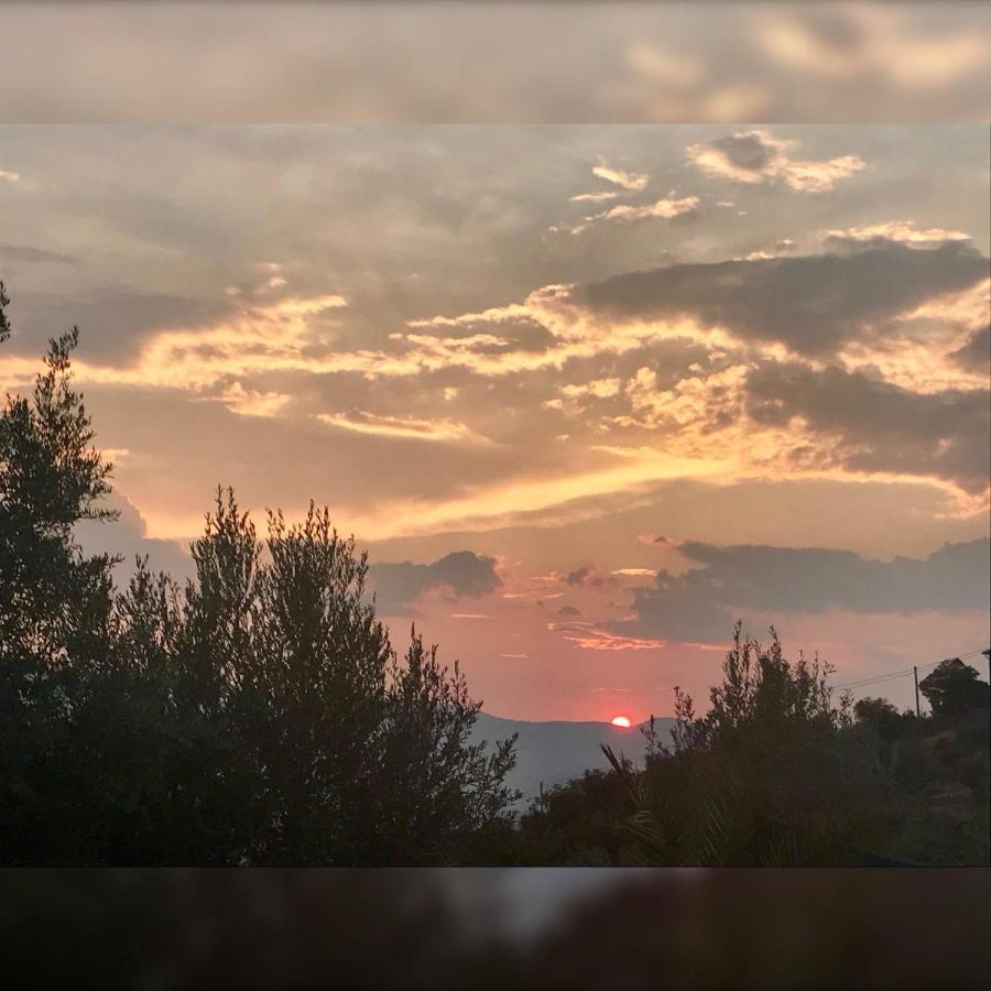 Agriturismo Pingitore Luzzi Exteriér fotografie