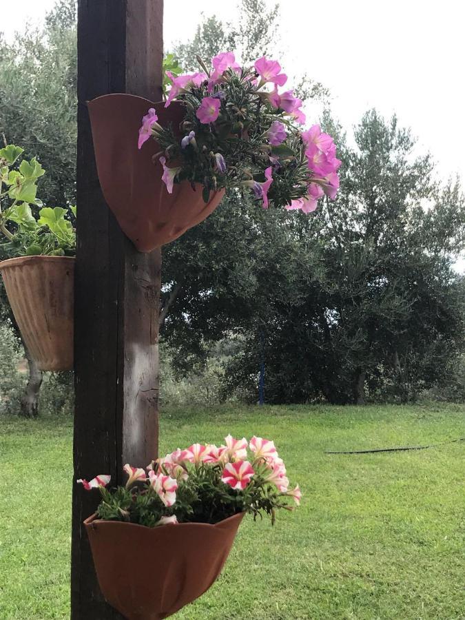 Agriturismo Pingitore Luzzi Exteriér fotografie