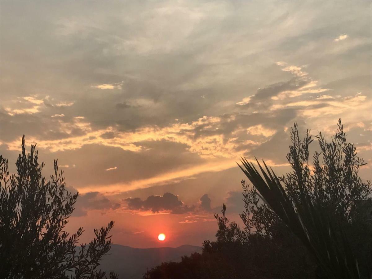 Agriturismo Pingitore Luzzi Exteriér fotografie